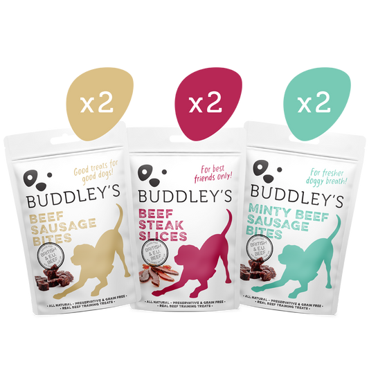 BUDDLEY'S Mixed Treats Box